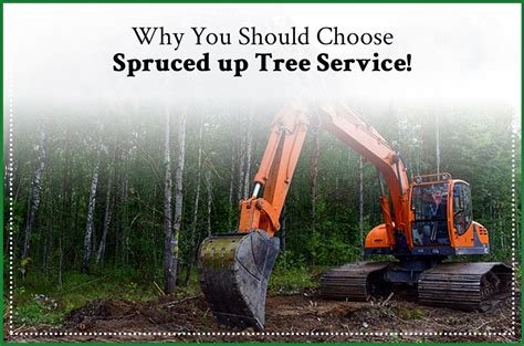 Parksville tree service  They were recommended by a